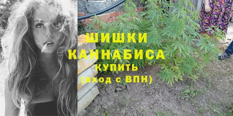 МЕГА ССЫЛКА  купить наркотик  Нижнекамск  Бошки Шишки OG Kush 